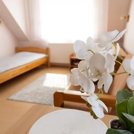 Kolorowy Dom Letniskowy Apartment Debki Exterior photo
