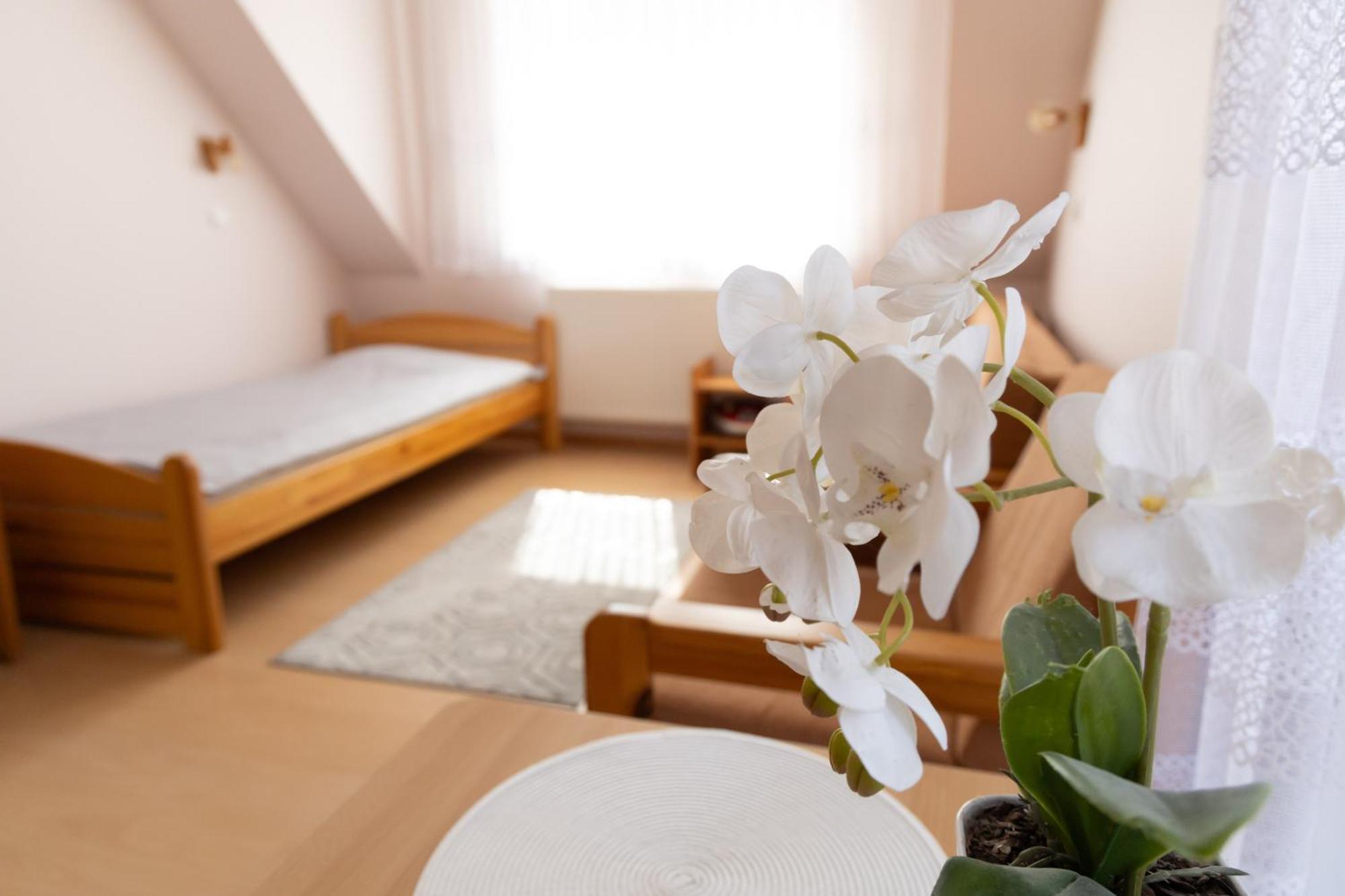Homestay Kolorowy Dom Letniskowy Debki